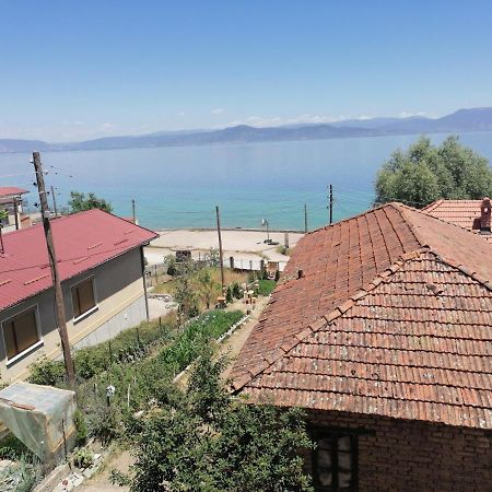 Villa Shine Struga Exteriör bild