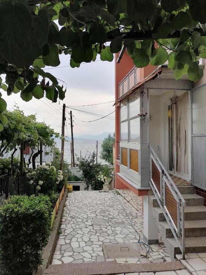 Villa Shine Struga Exteriör bild