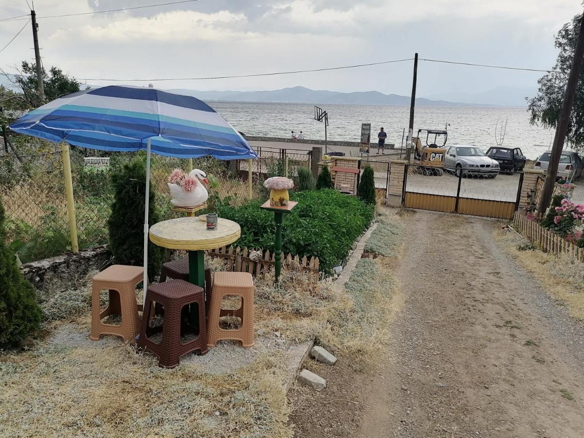 Villa Shine Struga Exteriör bild